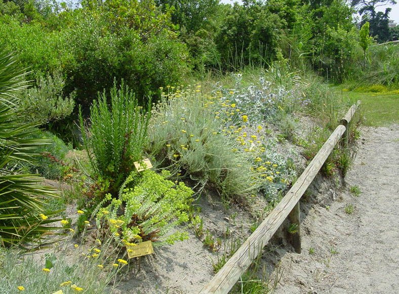 Orto Botanico di Livorno, Italy